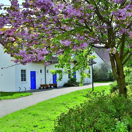 Feriendorf Rerik Exteriör bild